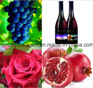 Top Rose Wine, EU Wild Rose Grape Pomegranate Wine Chinese Patent/Brut, Rich Anthocyanin, Amino Acid